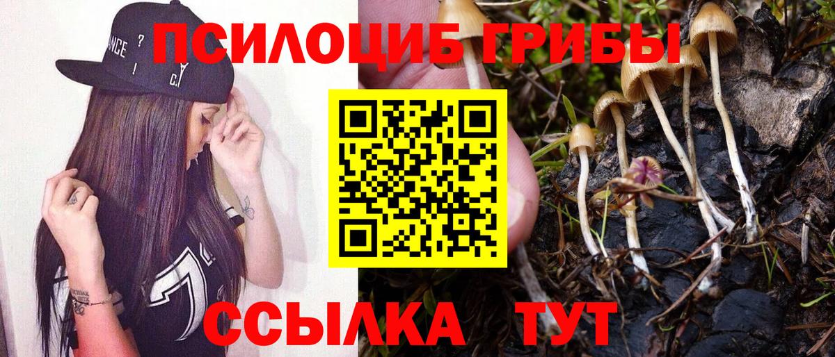 Галлюциногенные грибы мухоморы Подольск